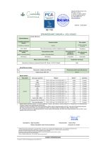 hemp medical certyfikat