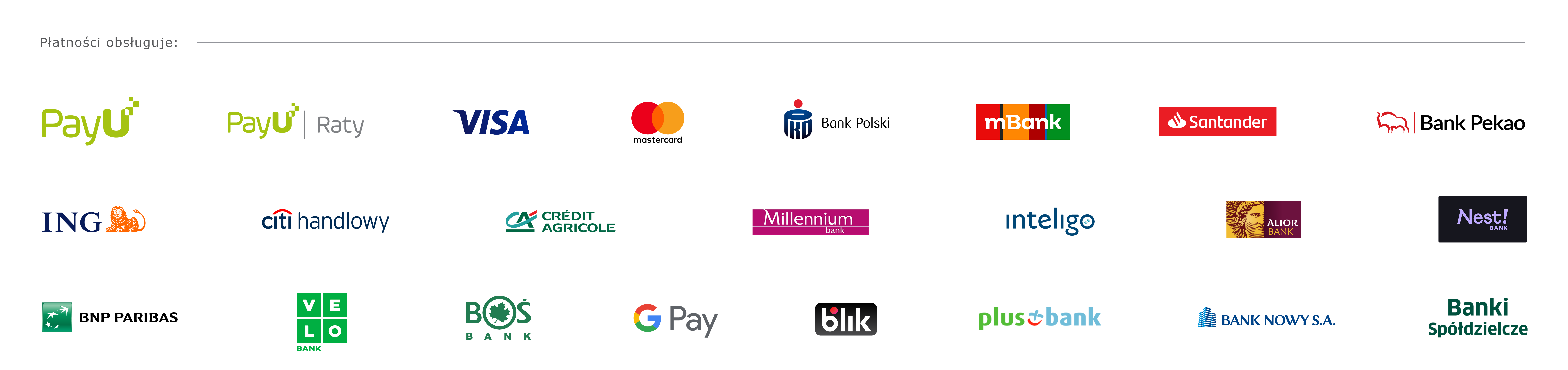 Payment Method 1